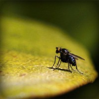 /album/nikefreerunonline/photolia-a07-jpg/